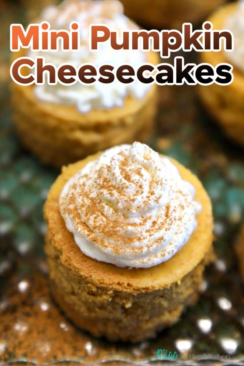 Mini Pumpkin Cheesecakes on a platter, whipped cream on top. Text overlay.