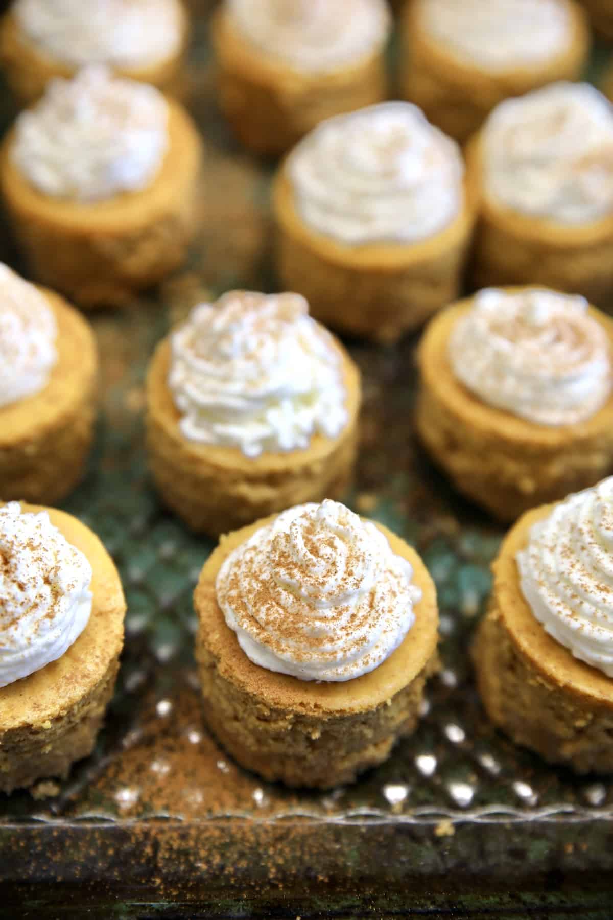 Tray with mini pumpkin cheesecakes, topped with whipped cream and pumpkin pie spice.