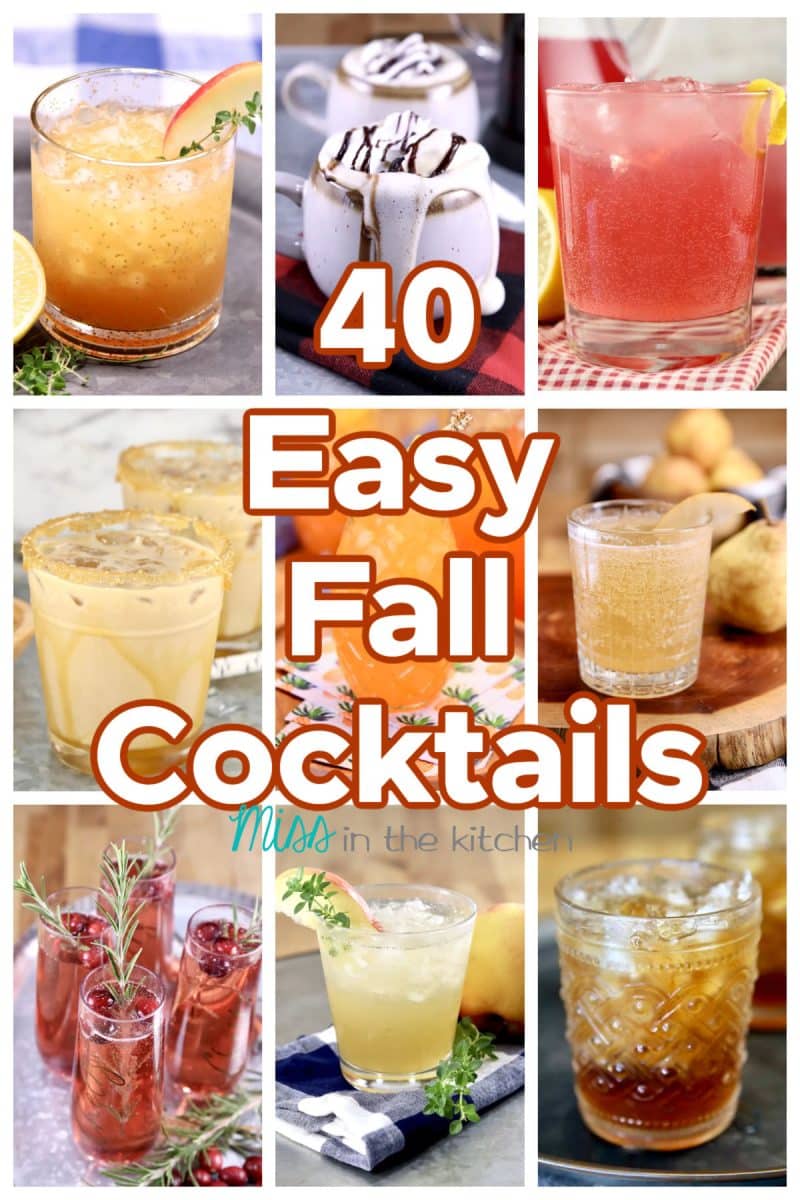 40 easy fall cocktails collage - text overlay.