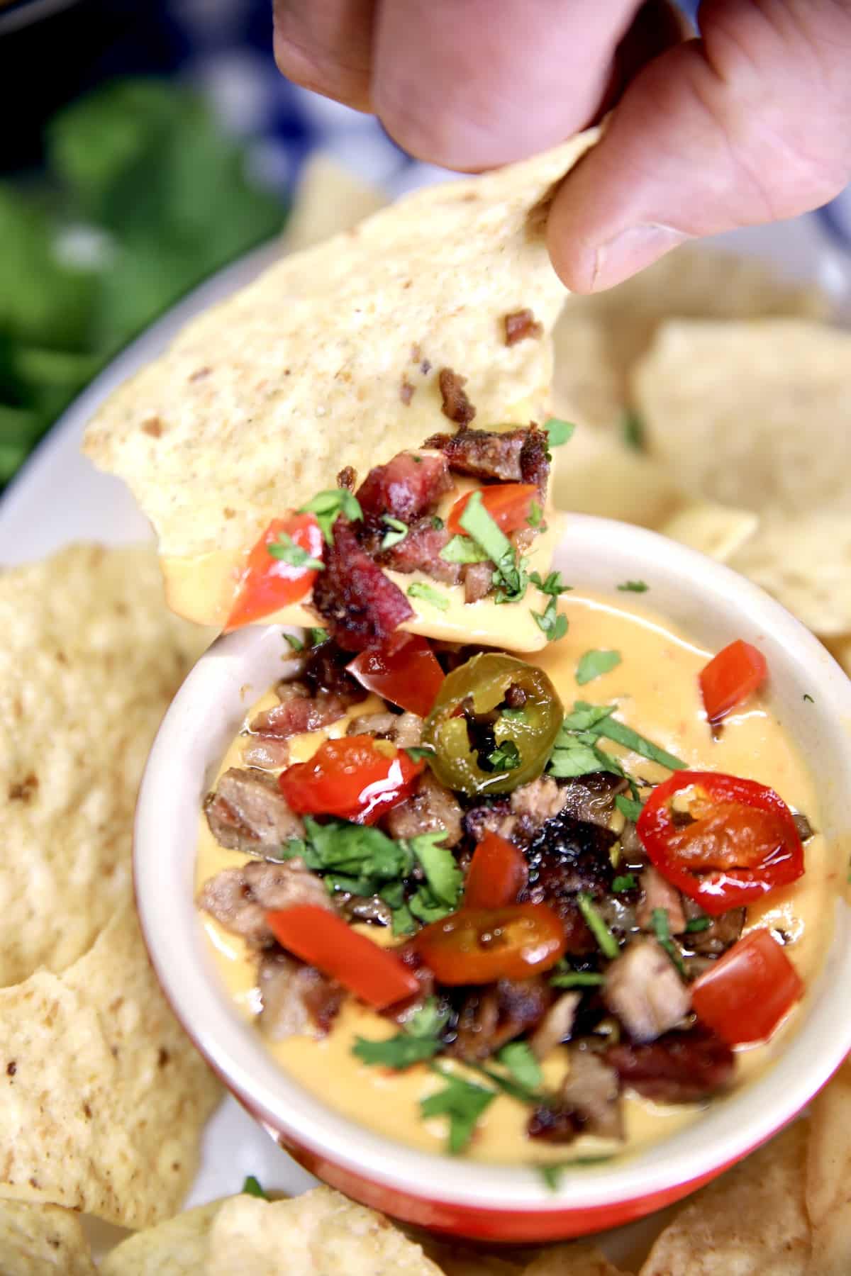 Hand holding tortilla chip with brisket queso, jalapenos.