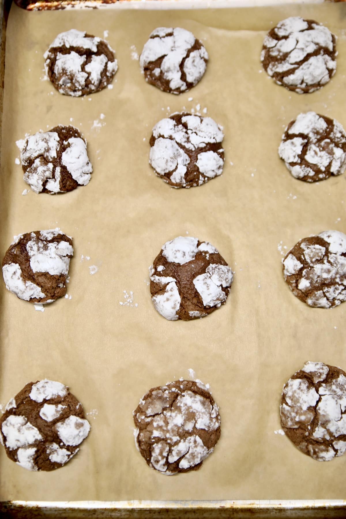 Chocolate crinkle cookies baked on parchment.