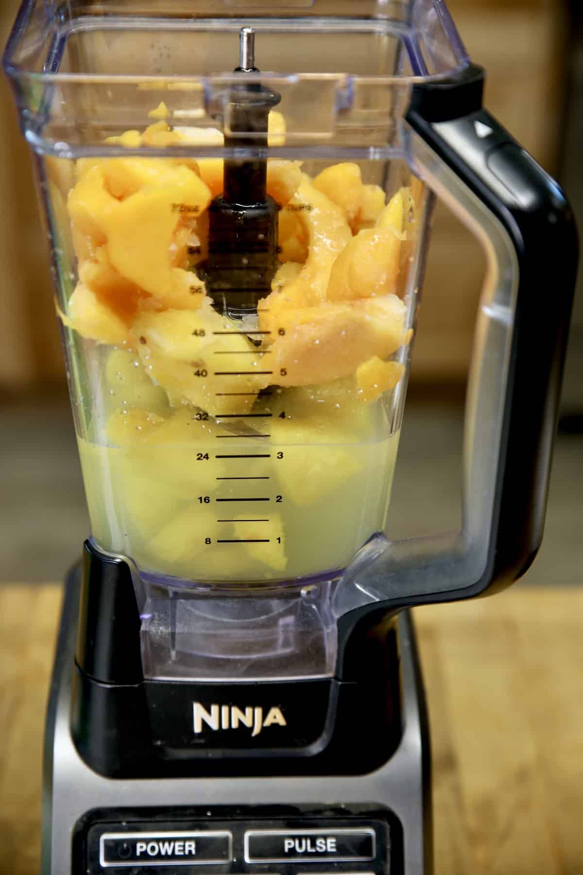 Blender with lemonade, pineapple and peaches.
