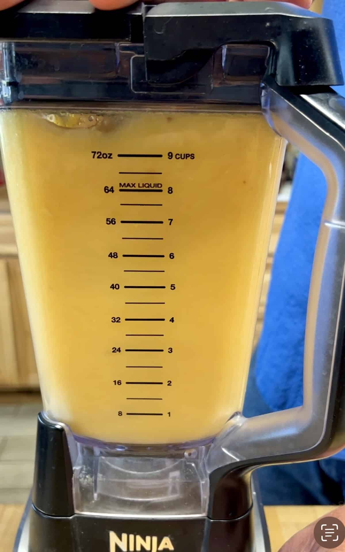 Blender of peach and mango wine punch.