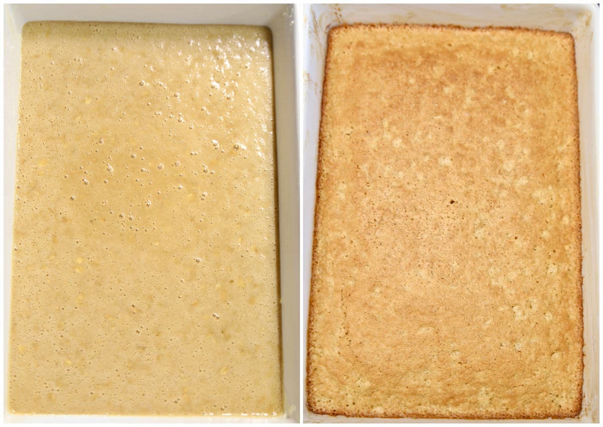 Cake collage: batter and baked in a 9 x 13 pan.