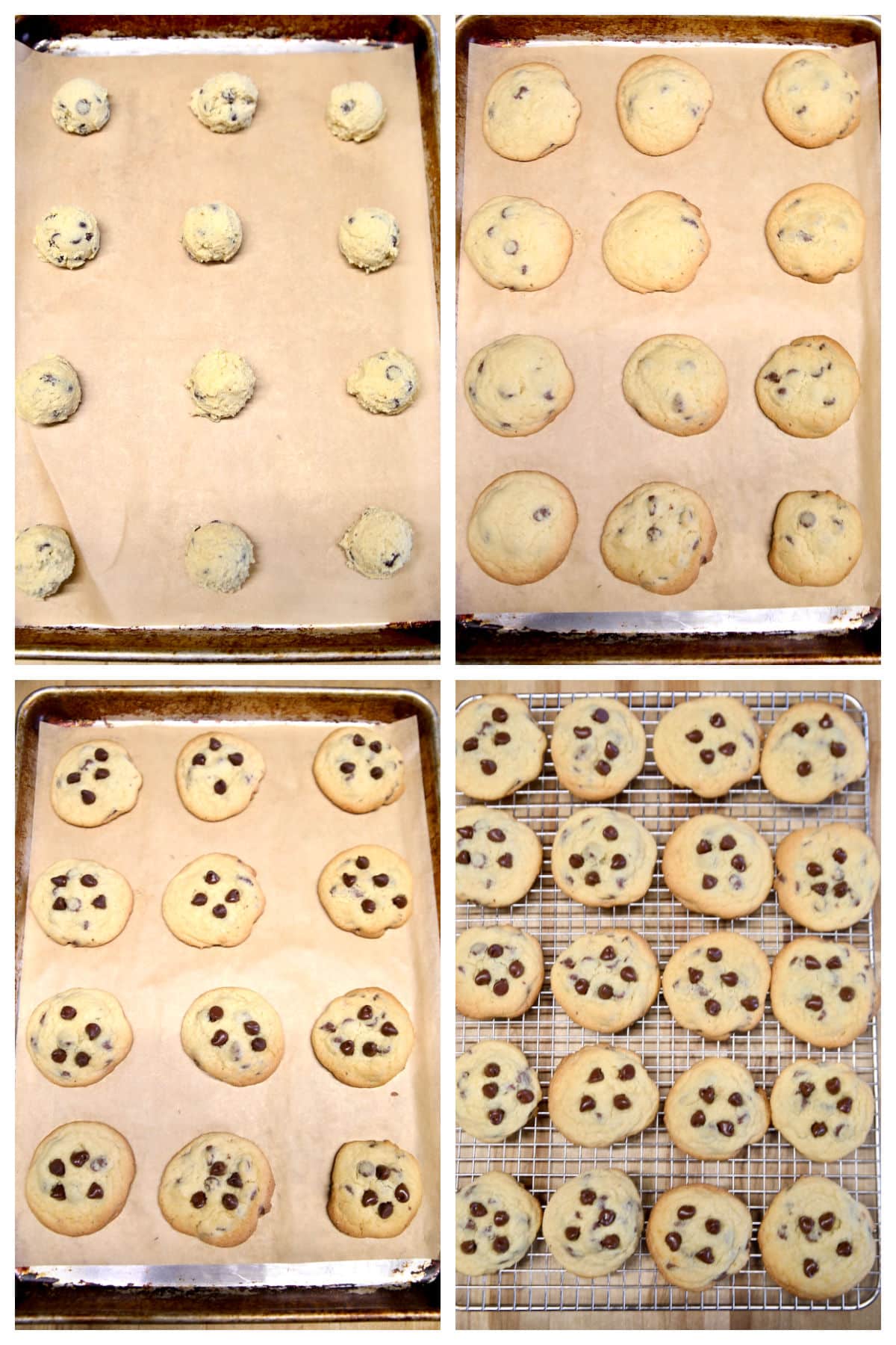 Collage scooping, baking chocolate chip cookies.