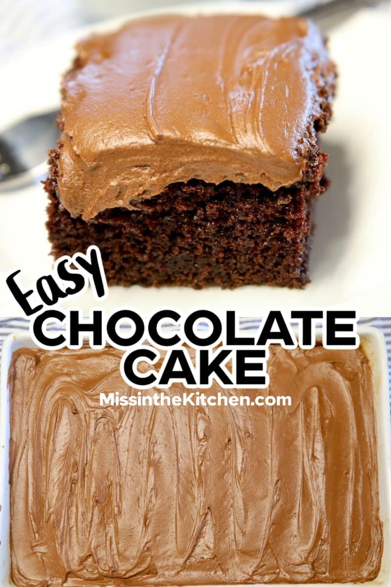 Easy chocolate cake slice/ 9x13 pan - text overlay.